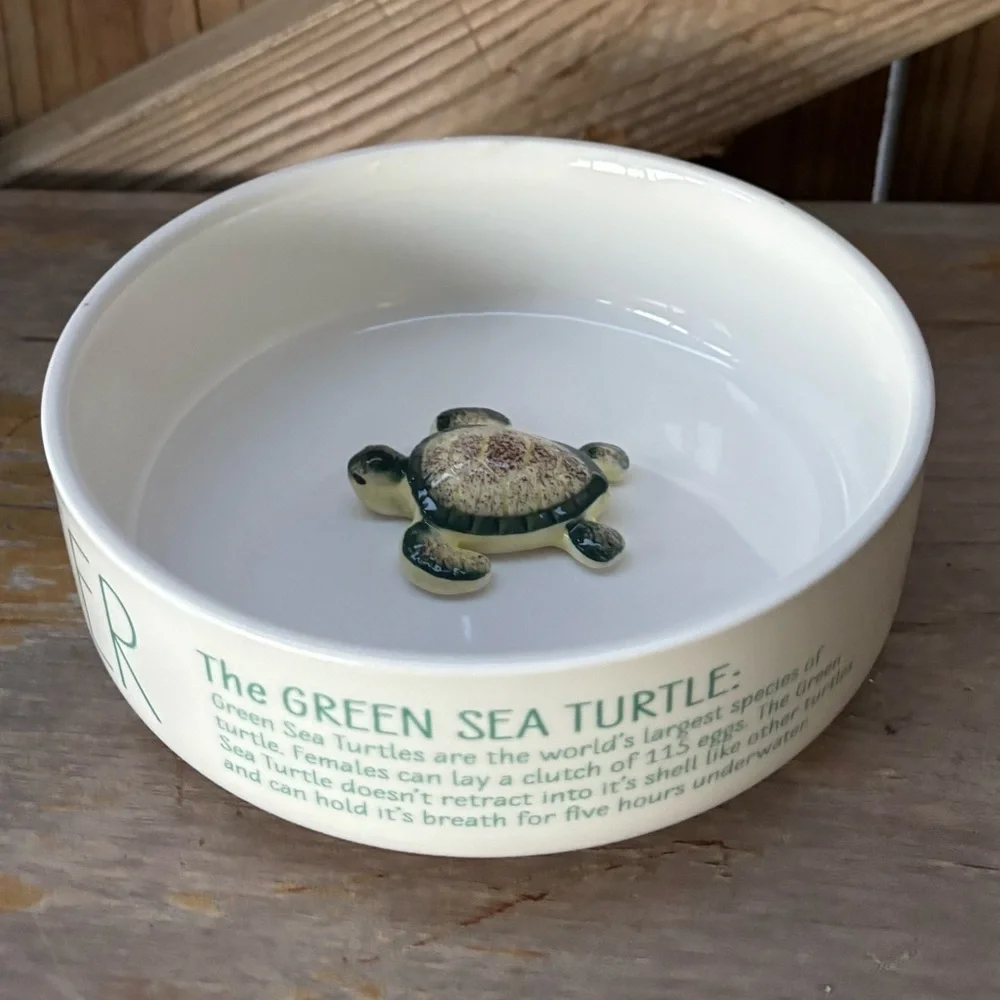 Honest Goods 3D Green Sea Turtle Pet Water Bowl 6 1/4”W